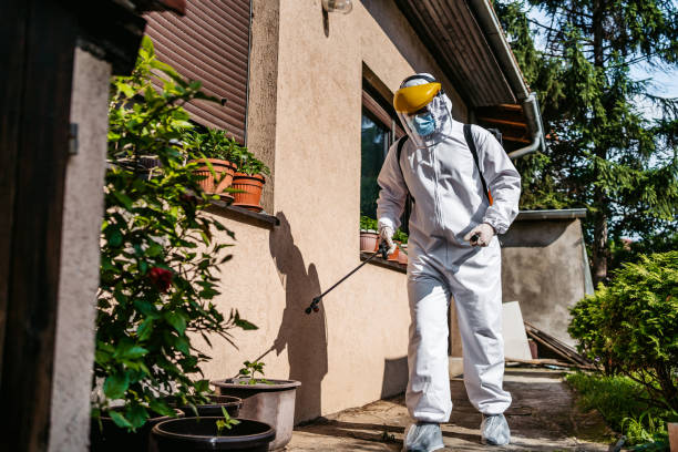 Best Pest Control for Restaurants  in Painted Post, NY